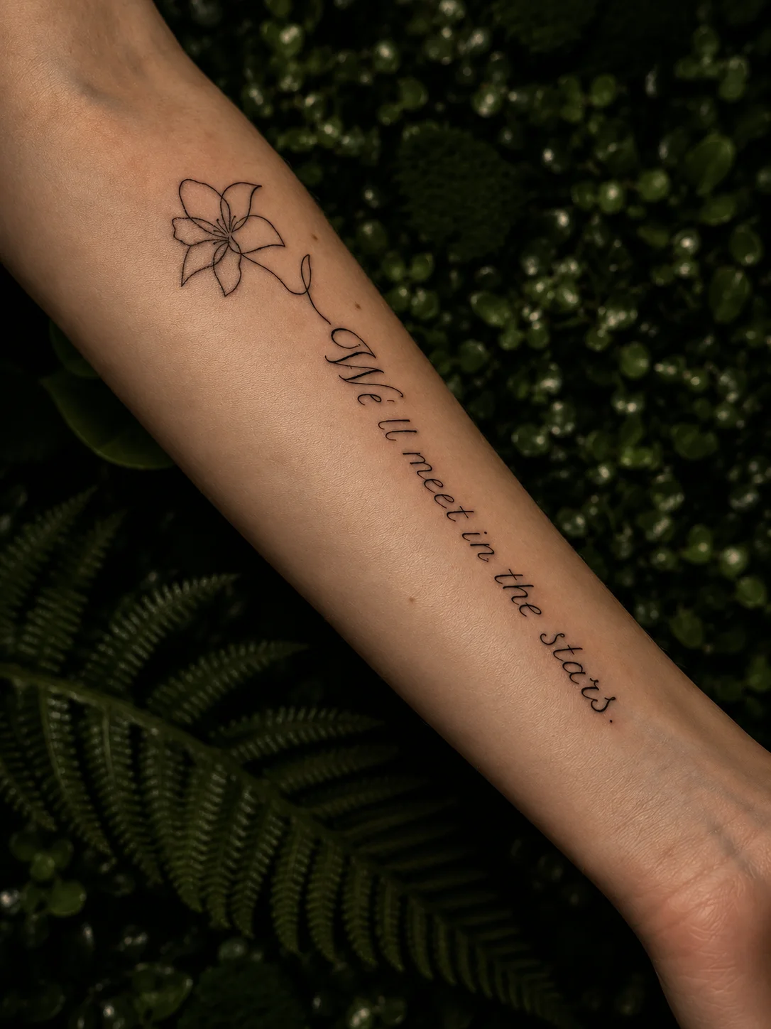 We'll met in the stars